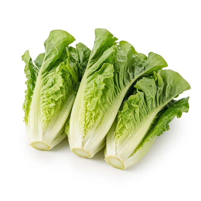Romaine Lettuce Hearts